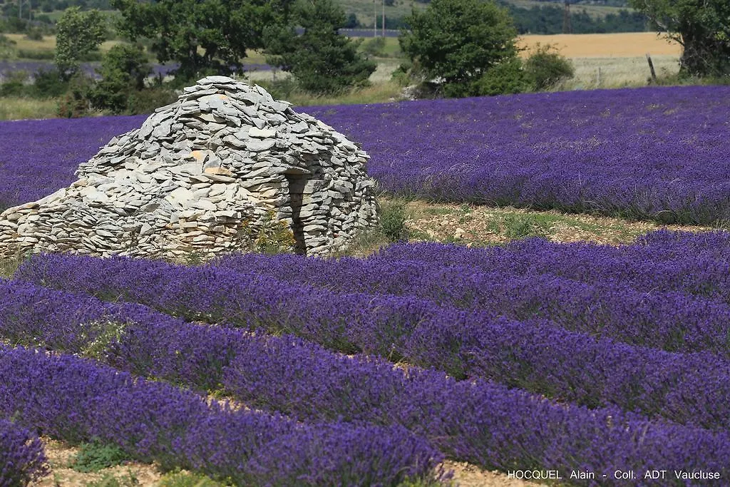 Les Terrasses - Gordes Guest House