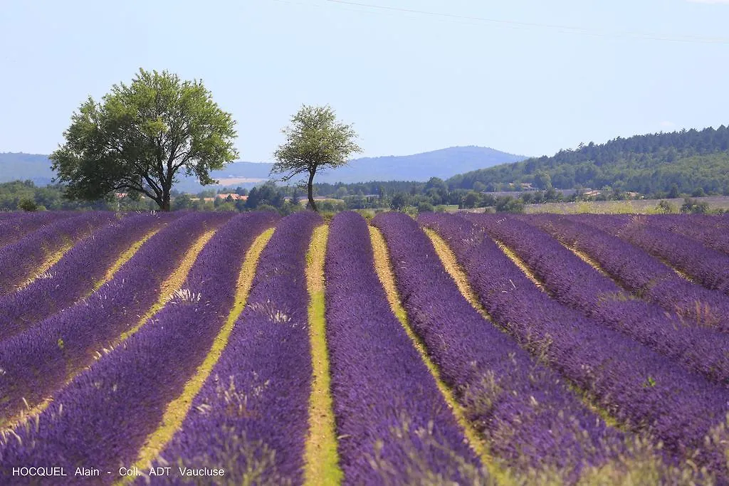 Les Terrasses - Gordes Guest House 0*,  France