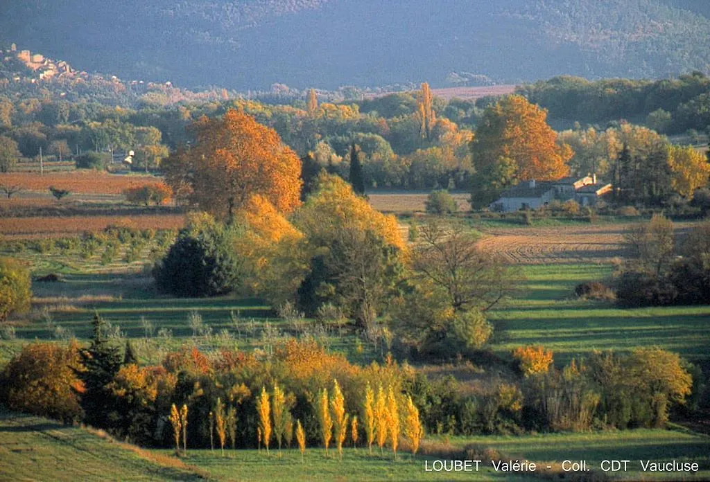 Country house Les Terrasses - Gordes Guest House