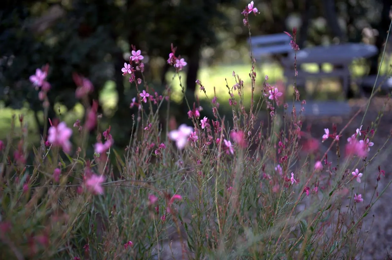Country house Les Terrasses - Gordes Guest House France